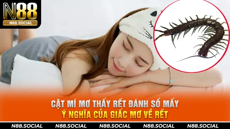 mơ thấy rết